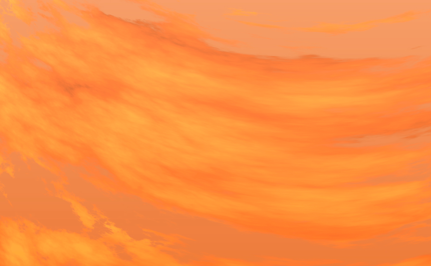 Screenshot 2026-01-29-fw